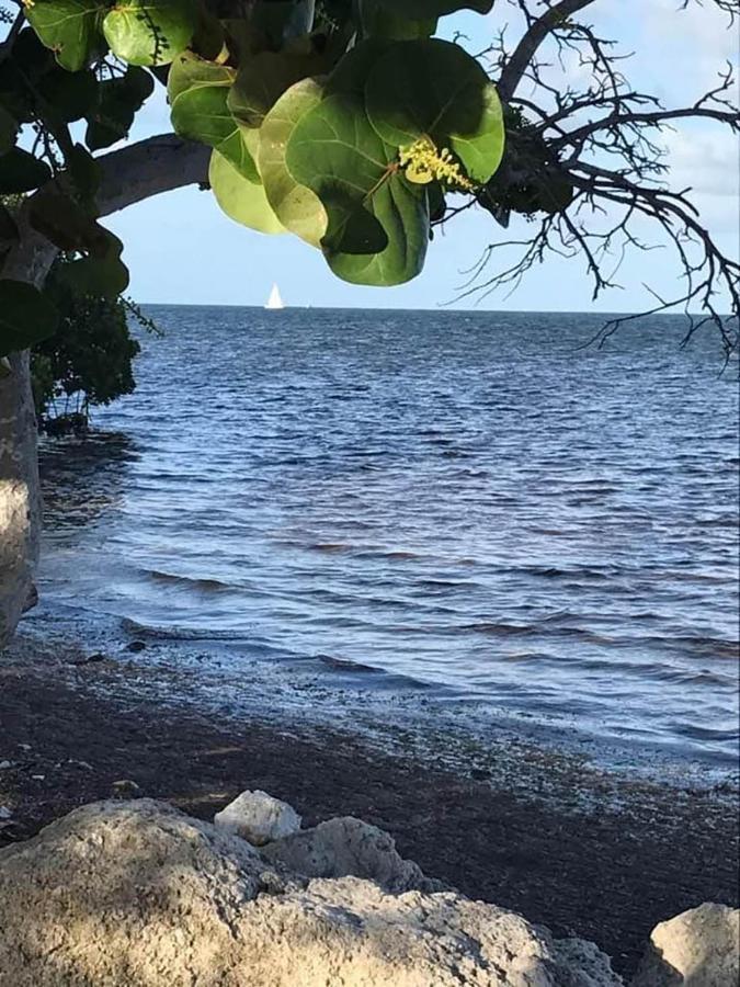 Sea Mist - Oceanfront-Lake-Kayak-Paddleboard-Bike キーラーゴ エクステリア 写真